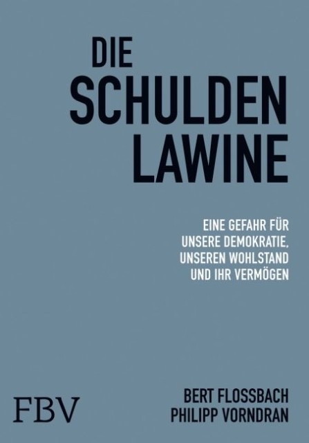 Die Schuldenlawine